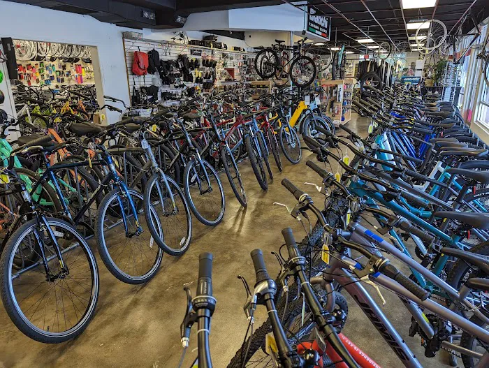 Trail Sport Bicycles Picture 10