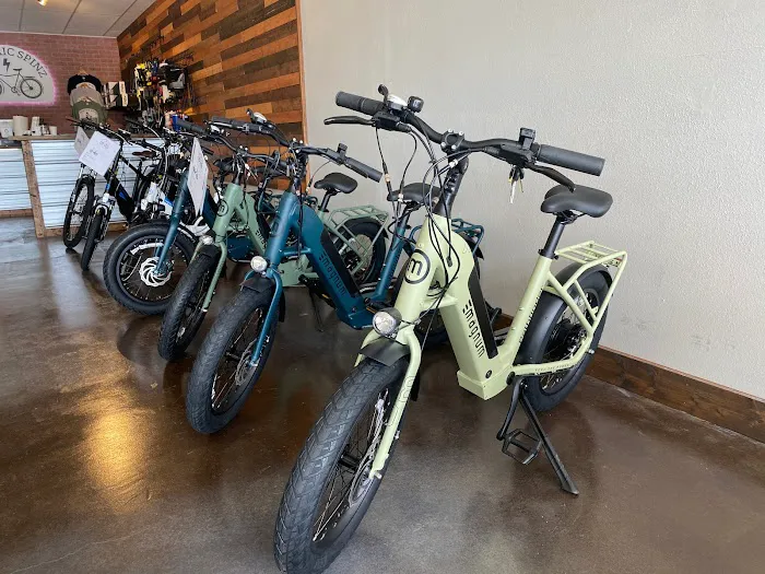 Electric Spinz Electric Bike Rentals and Sales Picture 6