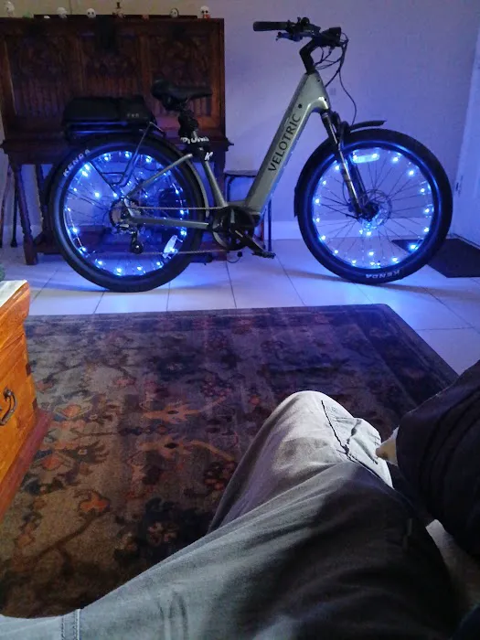 Electrified E-Bikes St. Petersburg Picture 7