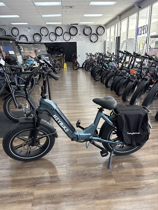 Electrified E-Bikes St. Petersburg Picture 5