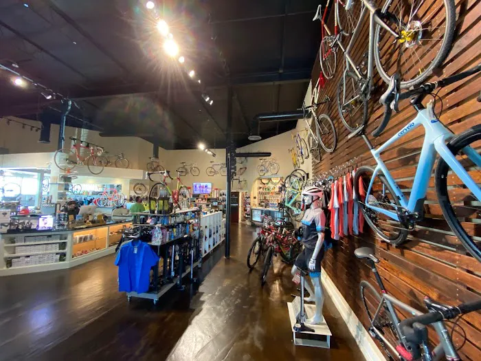 The Bikery Coffee & Bicycle Shop Picture 10