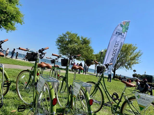 St Pete Biking Picture 1