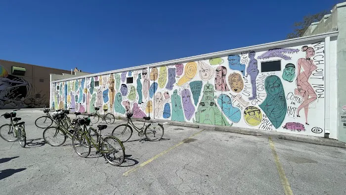 St Pete Biking Picture 5