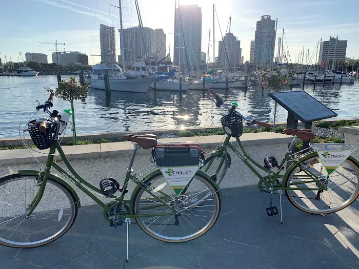 St Pete Biking Picture 9