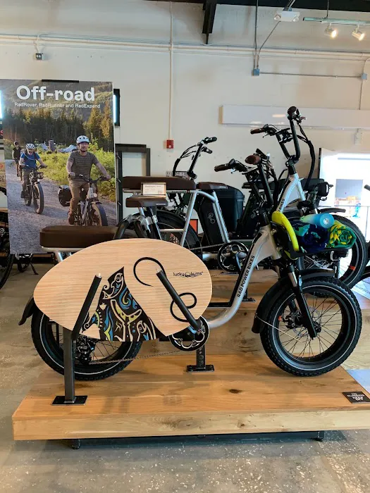 Rad Power Bikes Picture 10