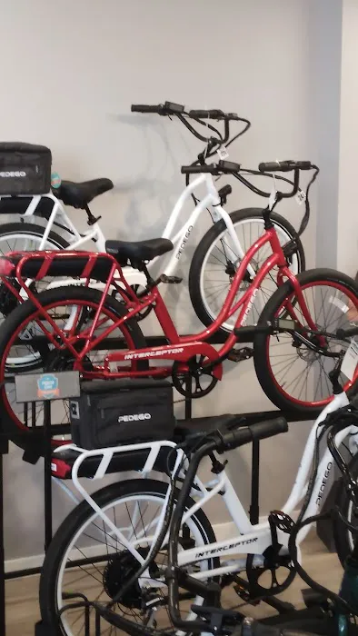 Pedego Electric Bikes St. Petersburg Picture 3