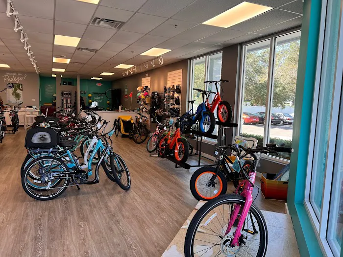 Pedego Electric Bikes St. Petersburg Picture 10