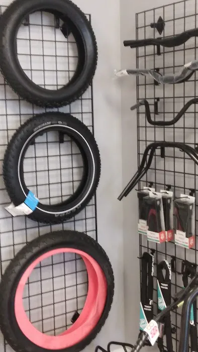 Pedego Electric Bikes St. Petersburg Picture 9