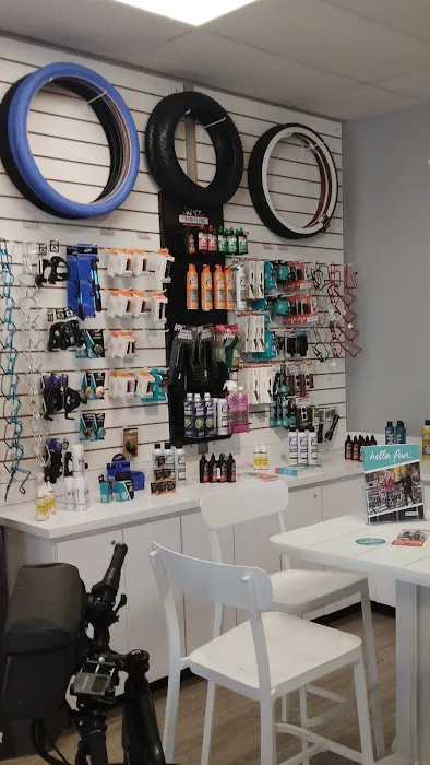 Pedego Electric Bikes St. Petersburg Picture 2