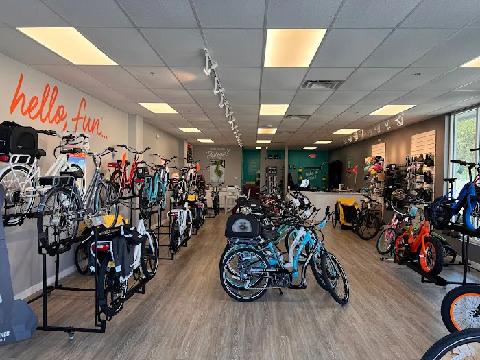 Pedego Electric Bikes St. Petersburg Picture 7