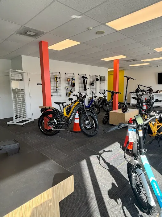 Rogan E-Bikes - St. Petersburg Picture 6