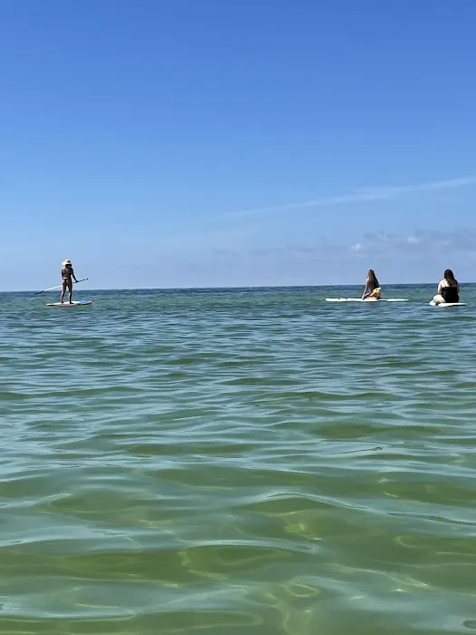 Rad Bikes, Beach, Surf and Rentals Picture 1