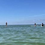 Rad Bikes, Beach, Surf and Rentals