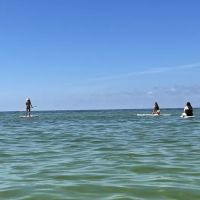Rad Bikes, Beach, Surf and Rentals ico