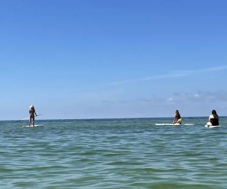 Rad Bikes, Beach, Surf and Rentals