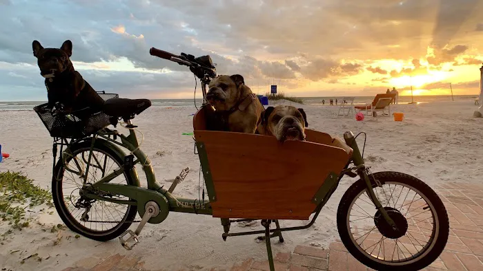 Rad Bikes, Beach, Surf and Rentals Picture 8