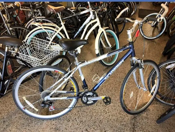 Sunshine Rides Bike Shop Picture 2