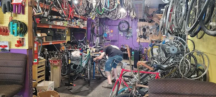 Sunshine Rides Bike Shop Picture 4