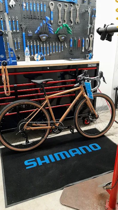 SunCycling Cycle and Fitness Shop Picture 1