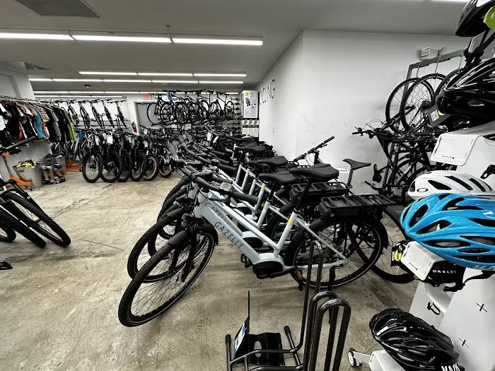 SunCycling Cycle and Fitness Shop Picture 5