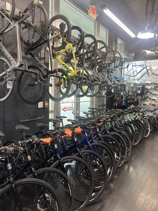 SunCycling Cycle and Fitness Shop Picture 6