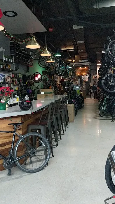 The Miami Bike Shop Picture 1