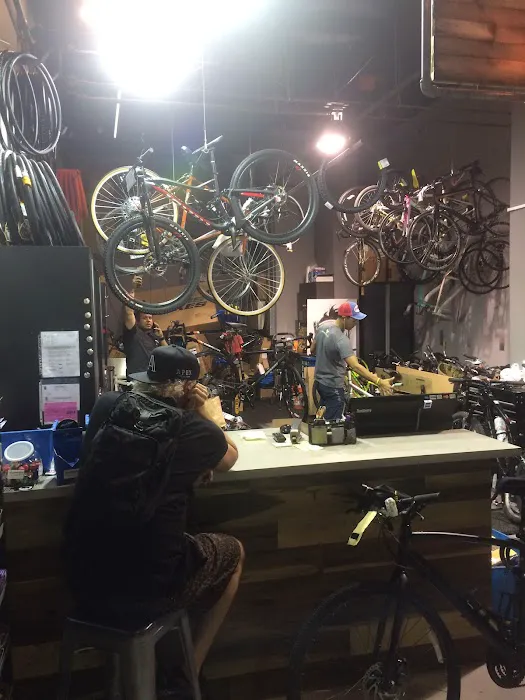The Miami Bike Shop Picture 4