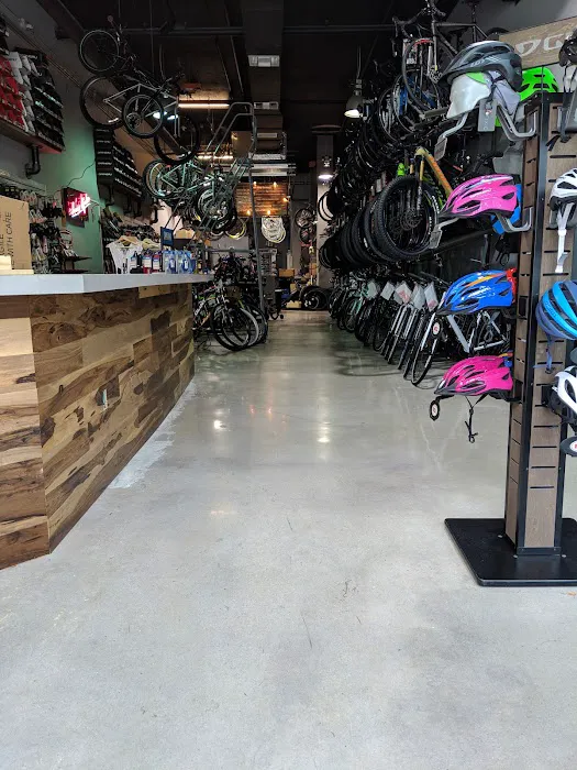 The Miami Bike Shop Picture 3