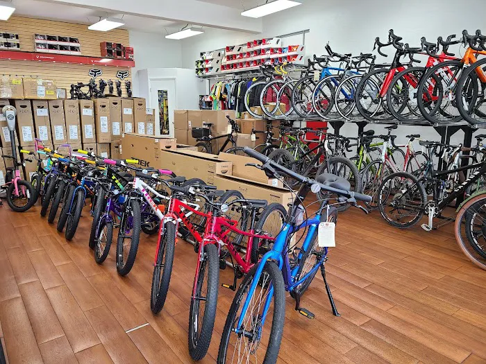Coral Way Bike Shop Picture 9