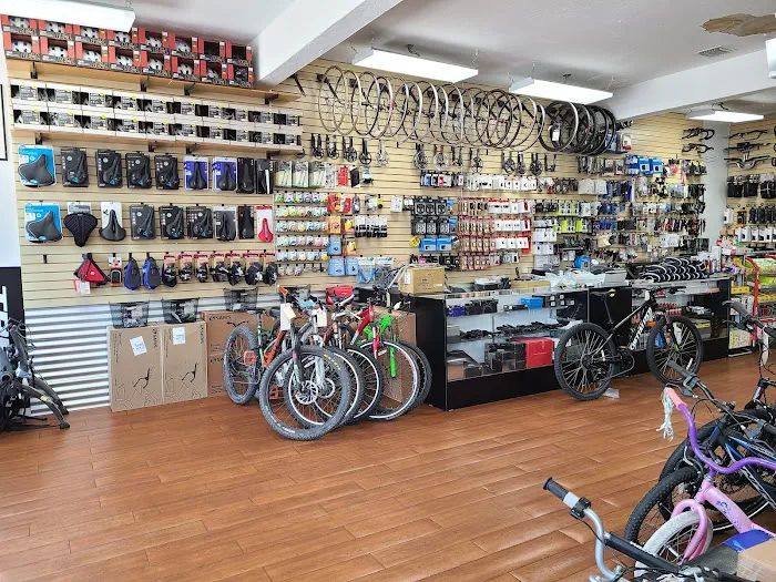 Coral Way Bike Shop Picture 7