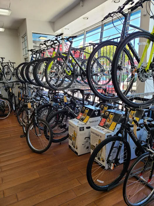 Coral Way Bike Shop Picture 6