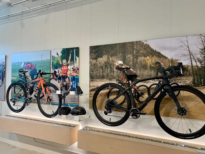 Specialized Miami Wynwood Picture 8