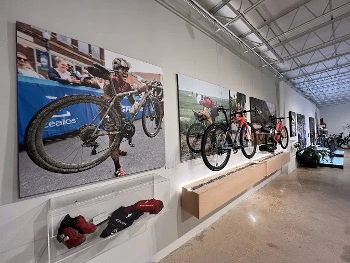 Specialized Miami Wynwood Picture 4