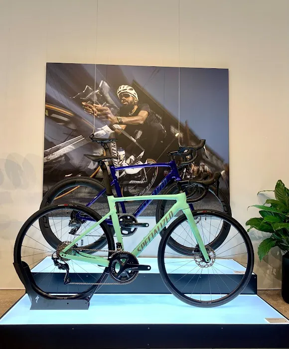 Specialized Miami Wynwood Picture 5