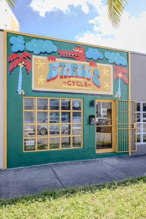 13 Thrills Cycle Picture 7