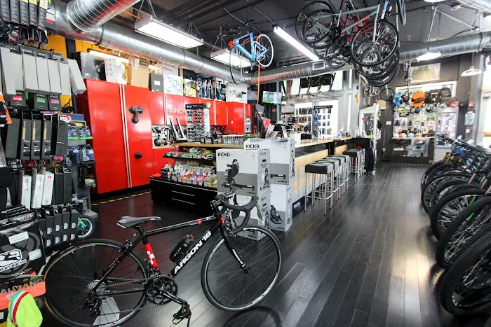 SunCycling Cycle and Fitness Shop Picture 5