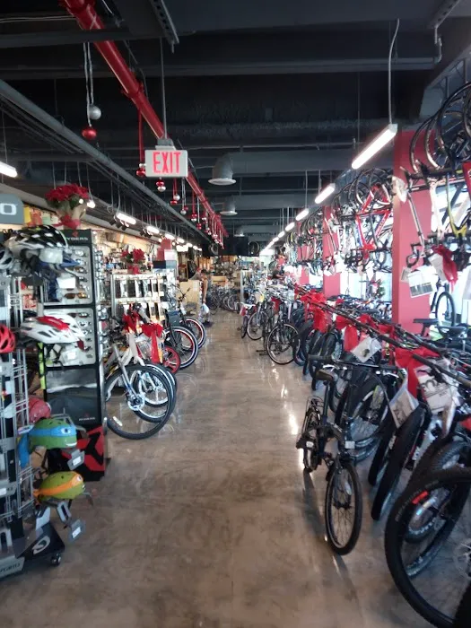 Miami Beach Bicycle Center Picture 7