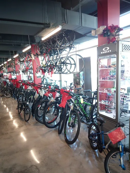 Miami Beach Bicycle Center Picture 6