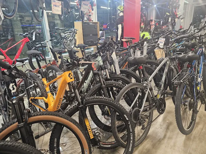 Miami Beach Bicycle Center Picture 9