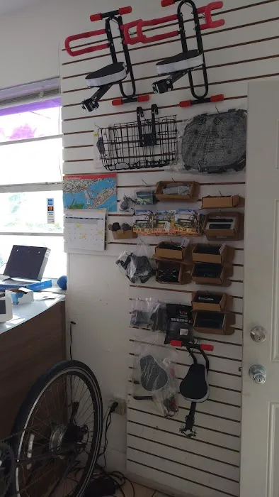 Bike Ride Sobe Picture 2