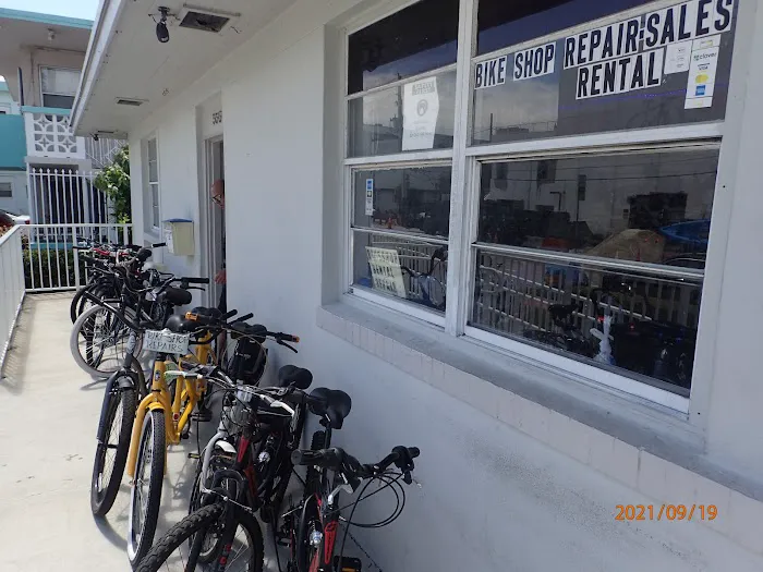 Bike Ride Sobe Picture 10
