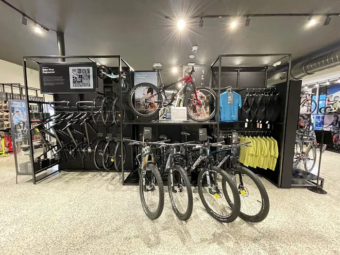 Specialized Miami Coconut Grove Picture 7