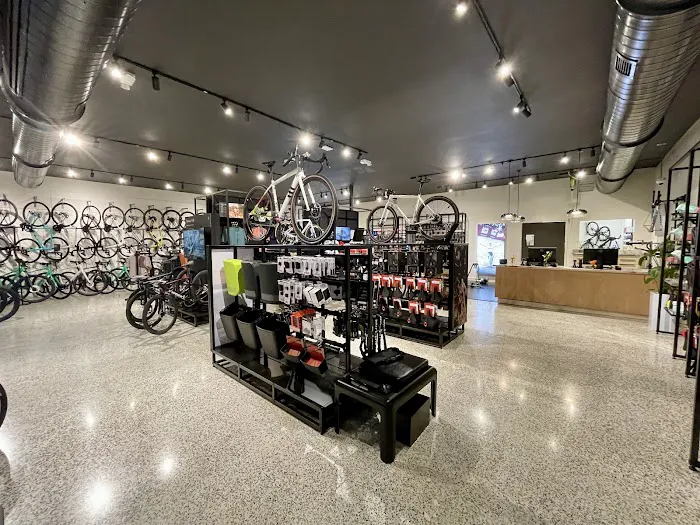 Specialized Miami Coconut Grove Picture 1