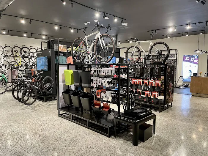 Specialized Miami Coconut Grove Picture 9