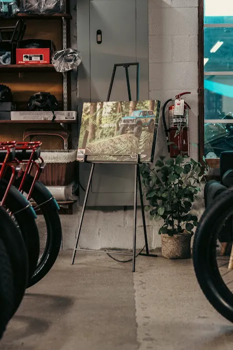 SoFlo e-Bike Shop Inc Picture 6