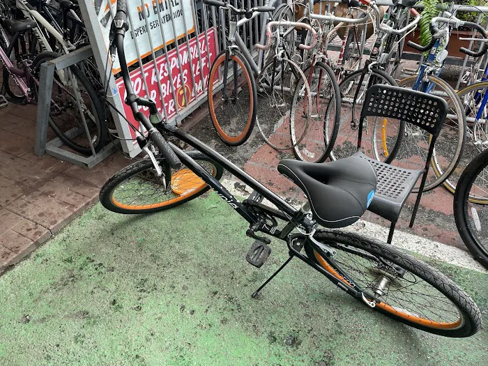 Willie’s Bicycle Picture 6