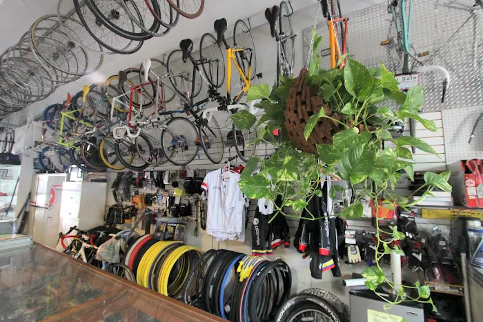Willie’s Bicycle Picture 7