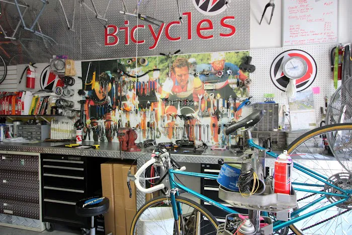 Willie’s Bicycle Picture 3