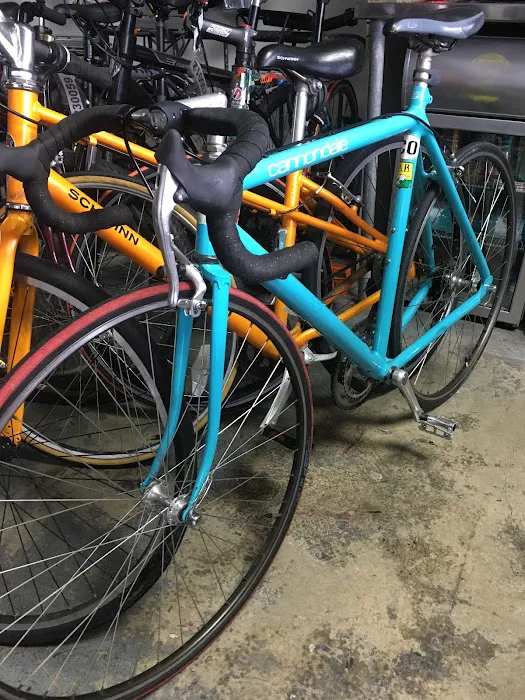Willie’s Bicycle Picture 5