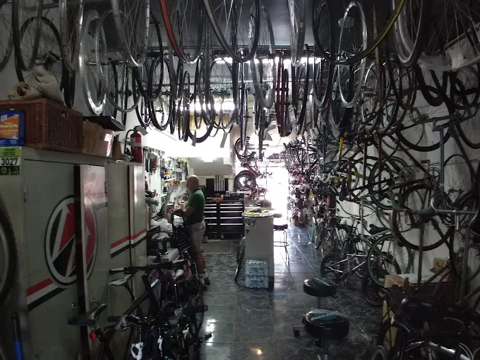 Willie’s Bicycle Picture 8